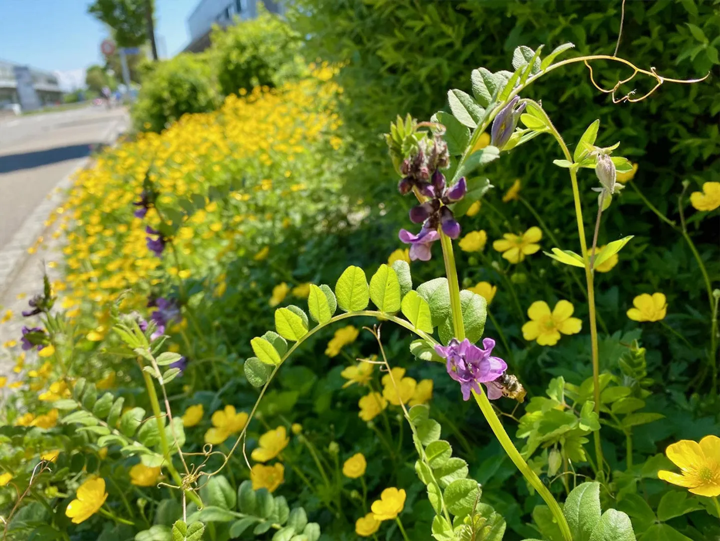 Friendly, attractive, bright, modern, high-quality 2.5-room apartment - Photo 13 of 14