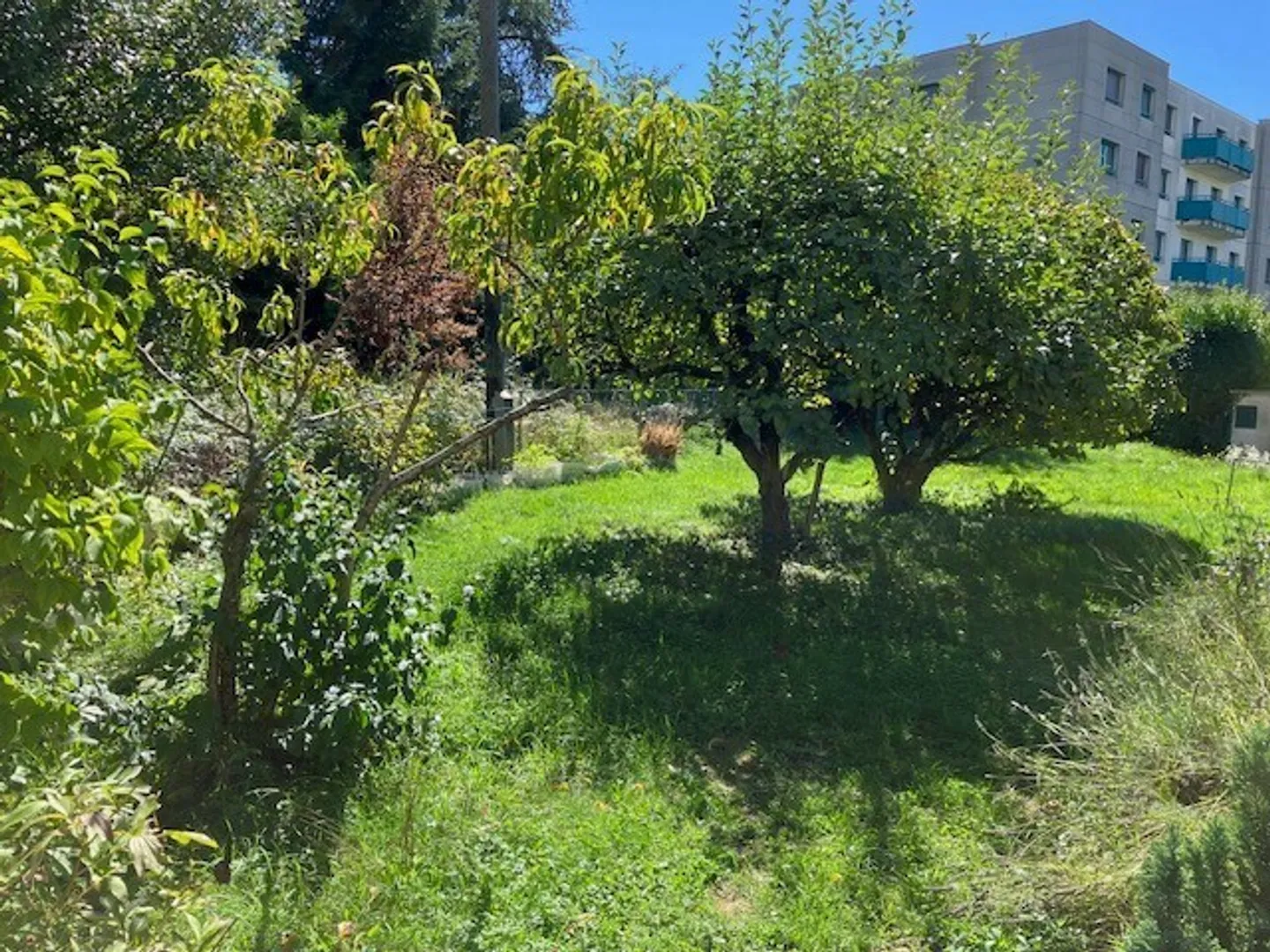 Casa a schiera 6 stanze - Foto 5 di 5