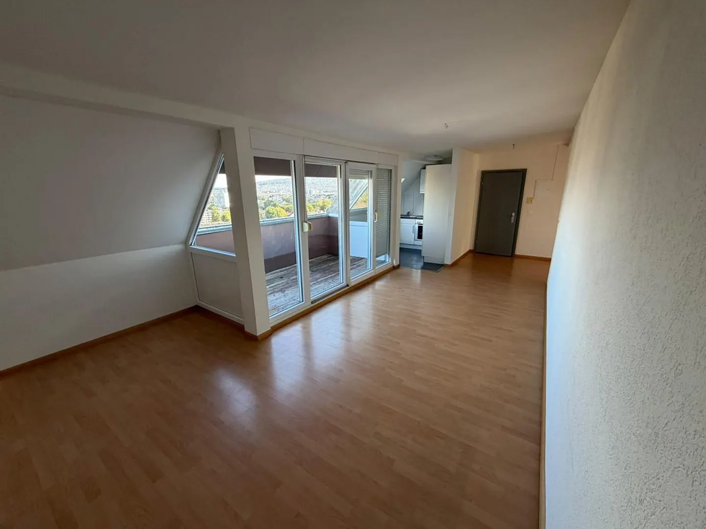 Stunning Penthouse in Zurich - Photo 3 of 9