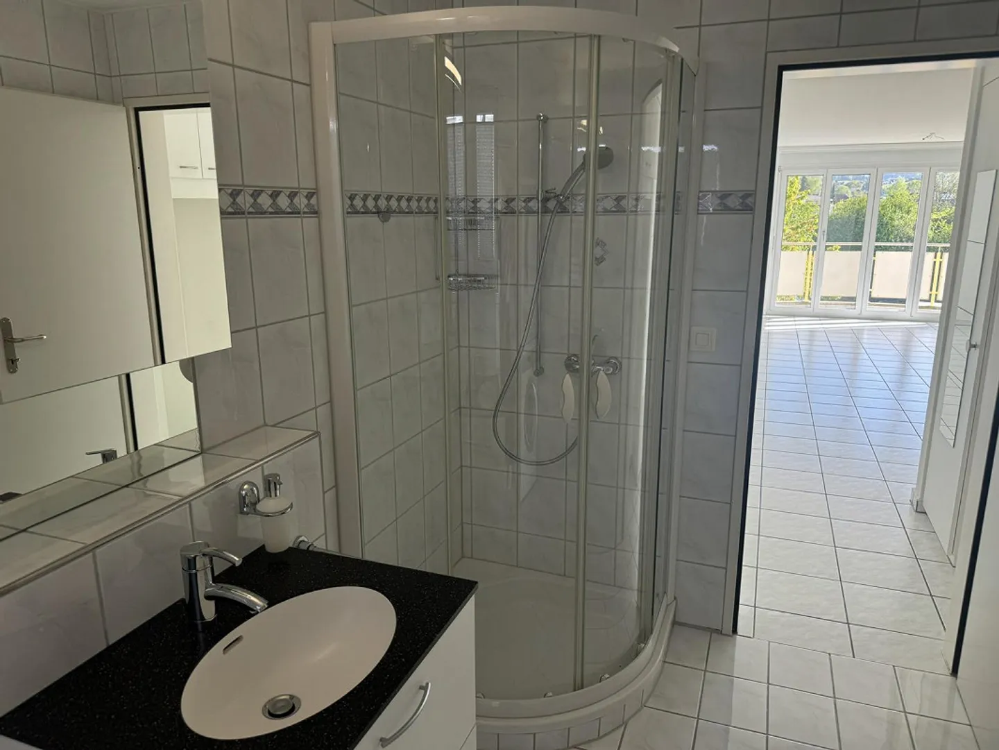 4.5 Room Apartment with Alpstein View - Photo 9 of 15