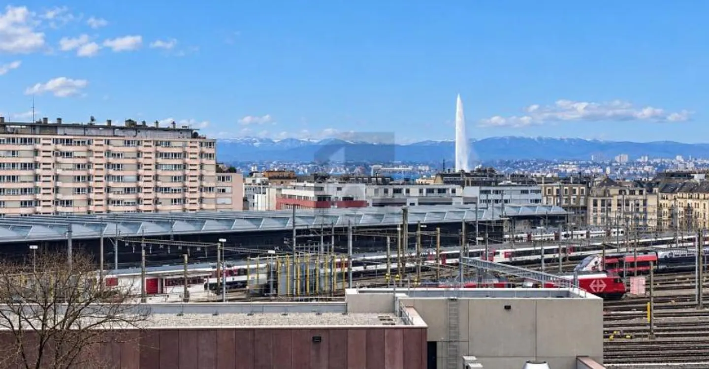 ATTRAVERSANDO ALLE NAZIONI UNITE CON VISTA JET D'EAU - Foto 1 di 6
