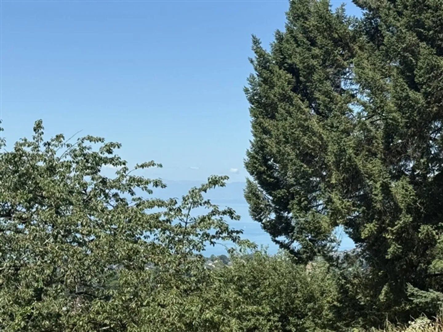 Einfamilienhaus kaufen - Foto 4 von 6