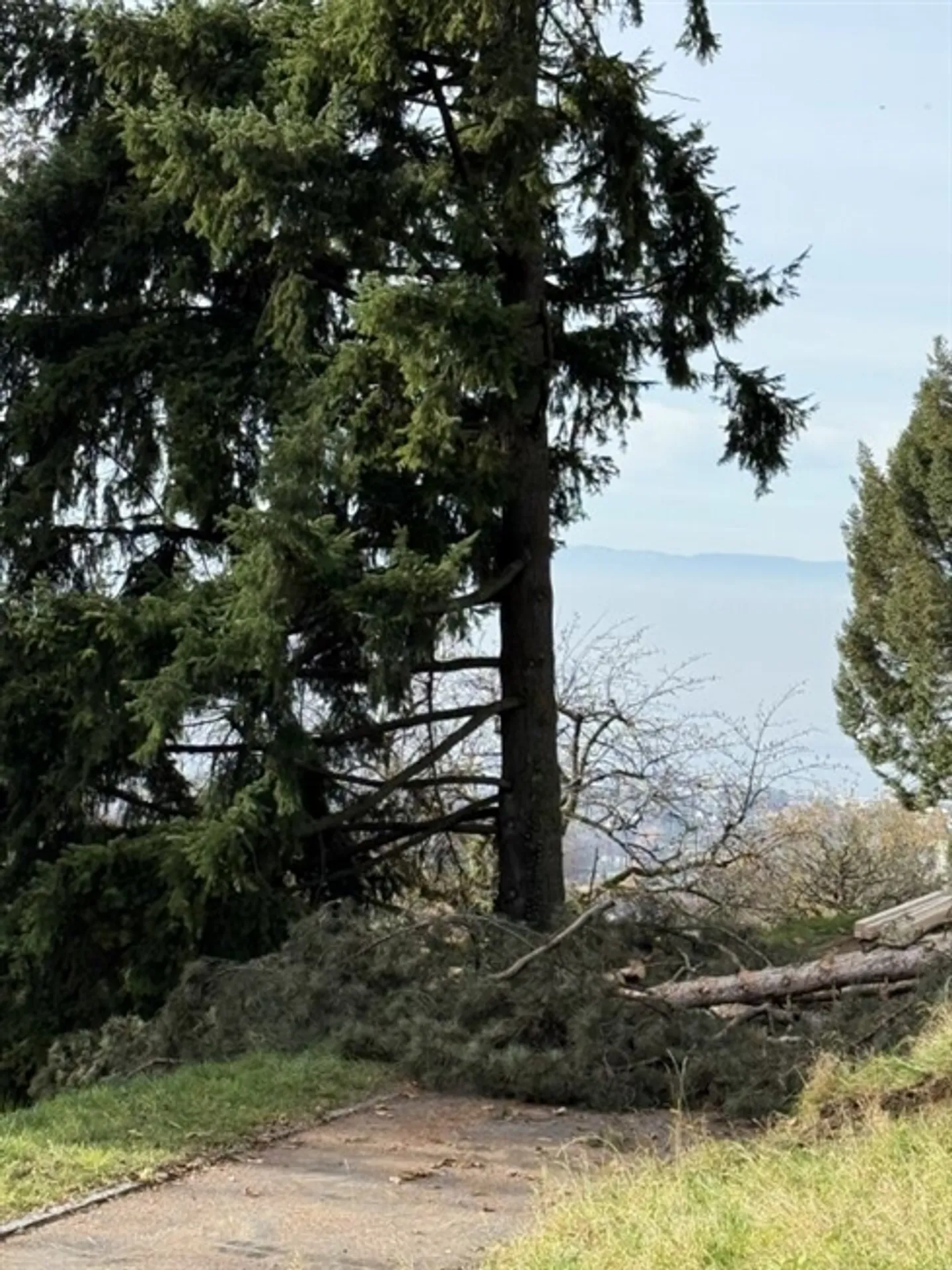 Einfamilienhaus kaufen - Foto 5 von 6