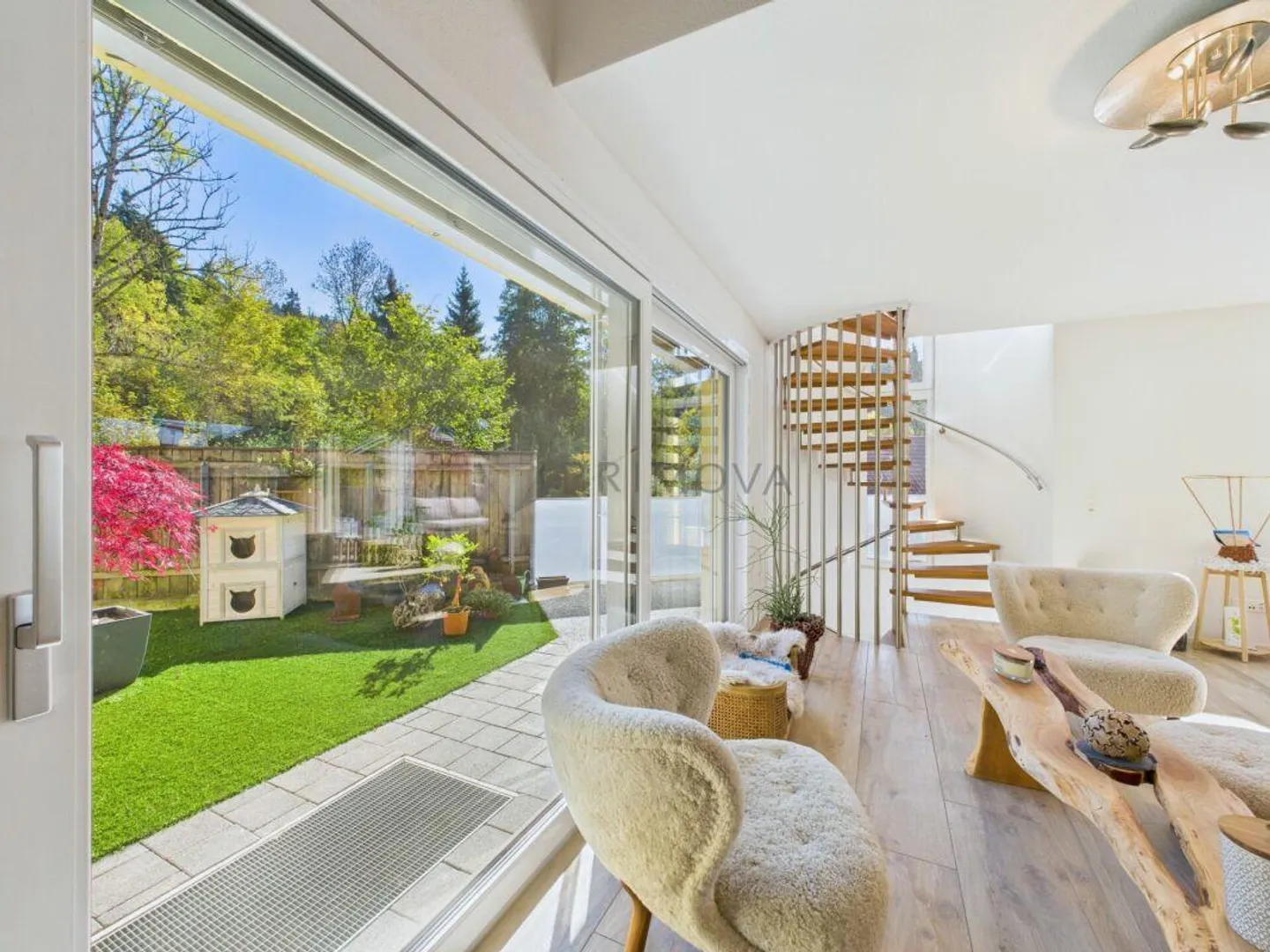 Hollywoodfeeling in den Schwarzenberger Hügeln - Foto 3 von 20