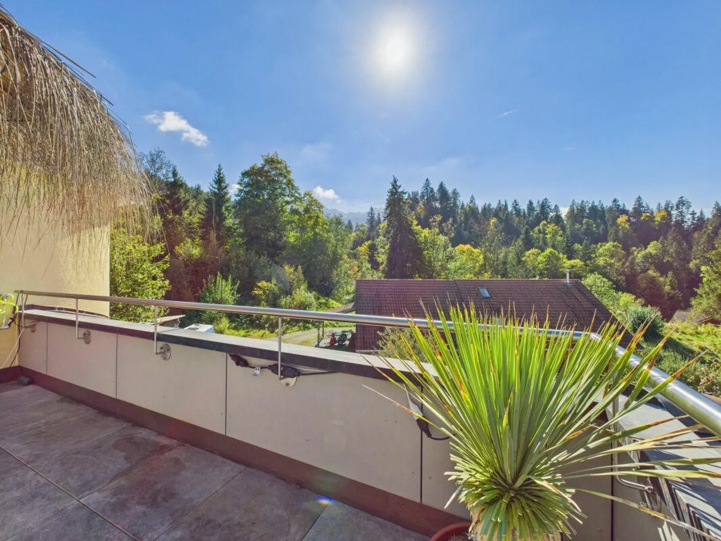 Hollywoodfeeling in den Schwarzenberger Hügeln - Foto 13 von 20