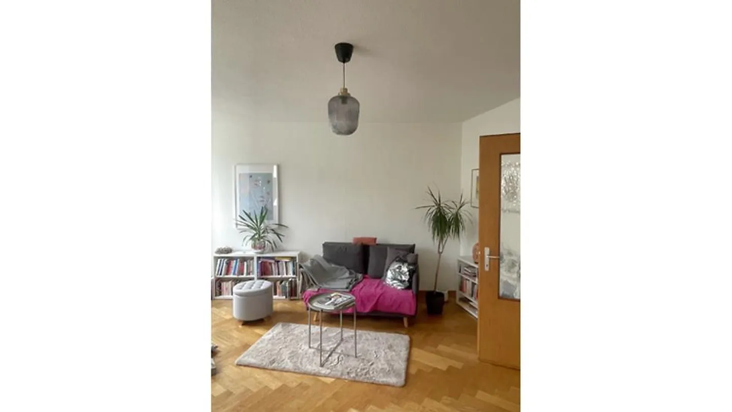 APPARTAMENTO 2 LOCALI AD ARLESHEIM (BL), ARREDATO, TEMPORANEO - Foto 4 di 7