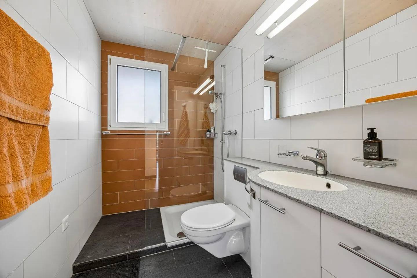 Vivere in campagna con vista: Casa residenziale flessibile con spazio commerciale e potenziale di espansione - Foto 6 di 13