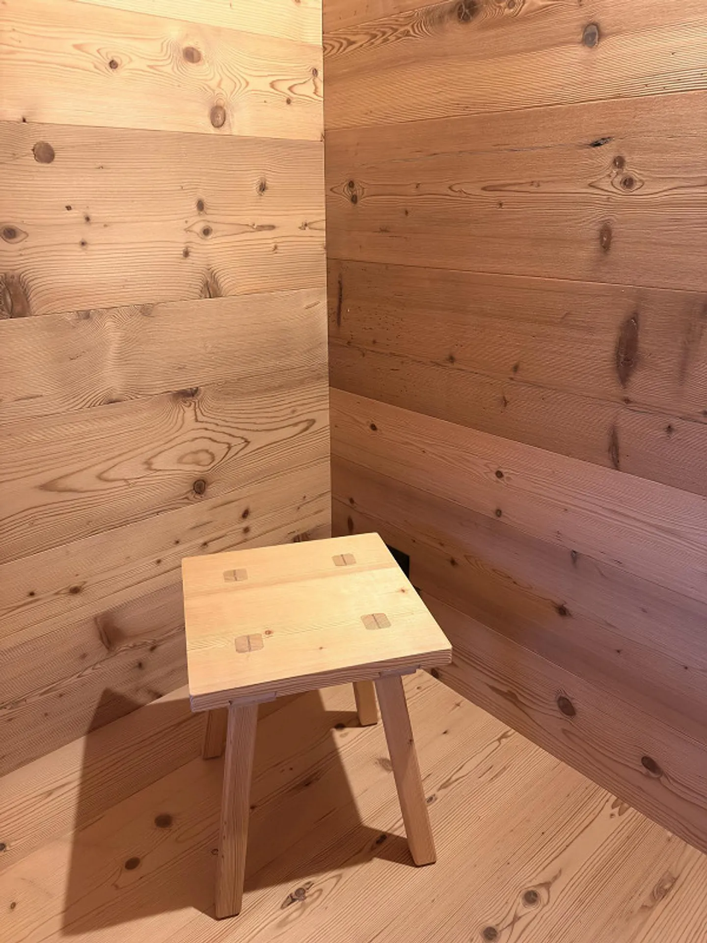 Renoviertes Maiensäss an traumhafter Aussichtslage - Foto 7 von 12