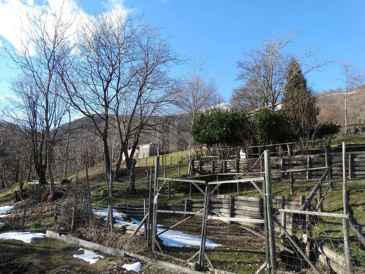 PRATO PER CAVALLI - Foto 5 di 6