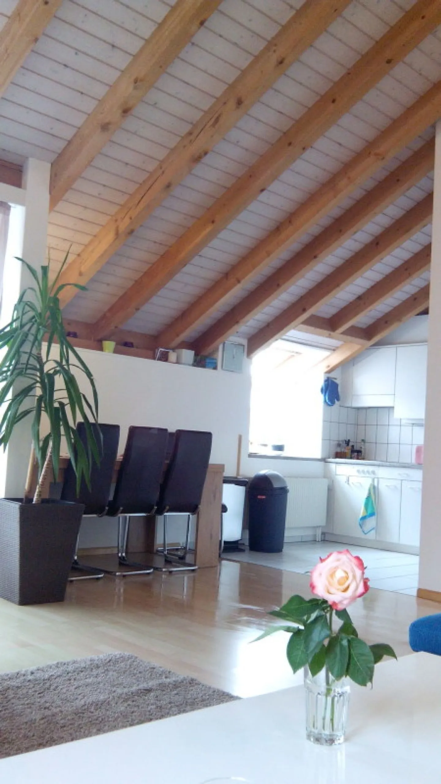 Large attic apartment in a quiet location - Photo 3 of 11