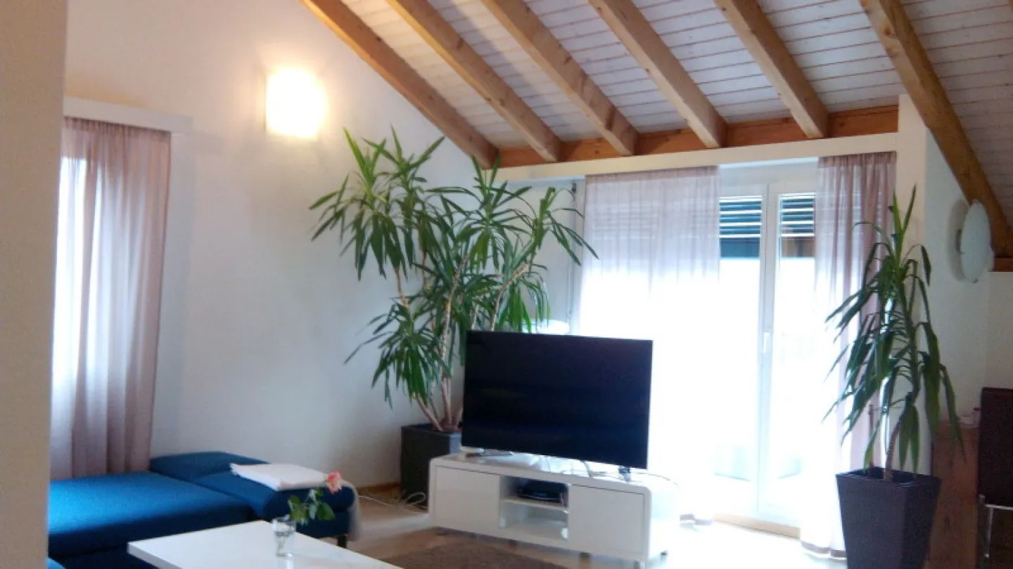 Large attic apartment in a quiet location - Photo 5 of 11