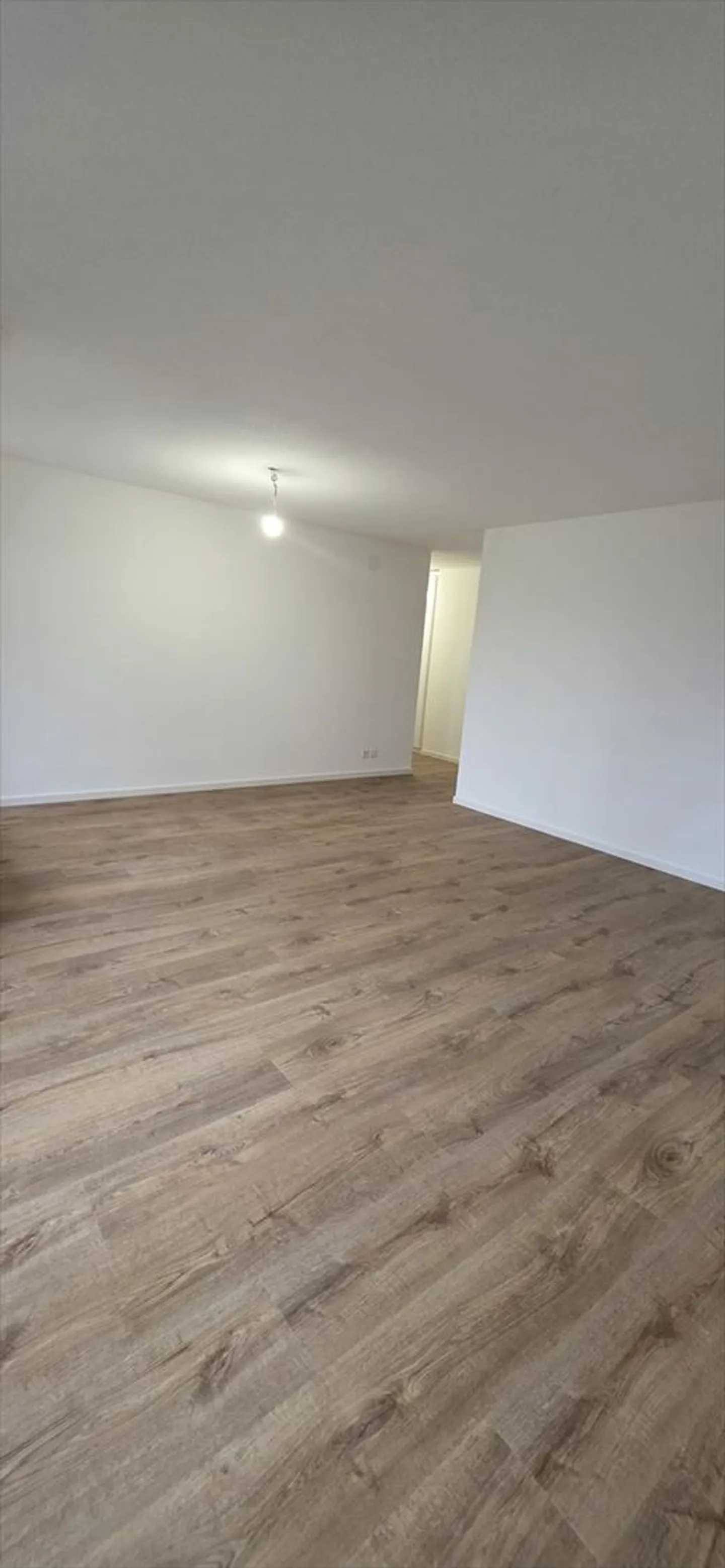 Magnificent 4.5 Room Renovated - Photo 3 of 10