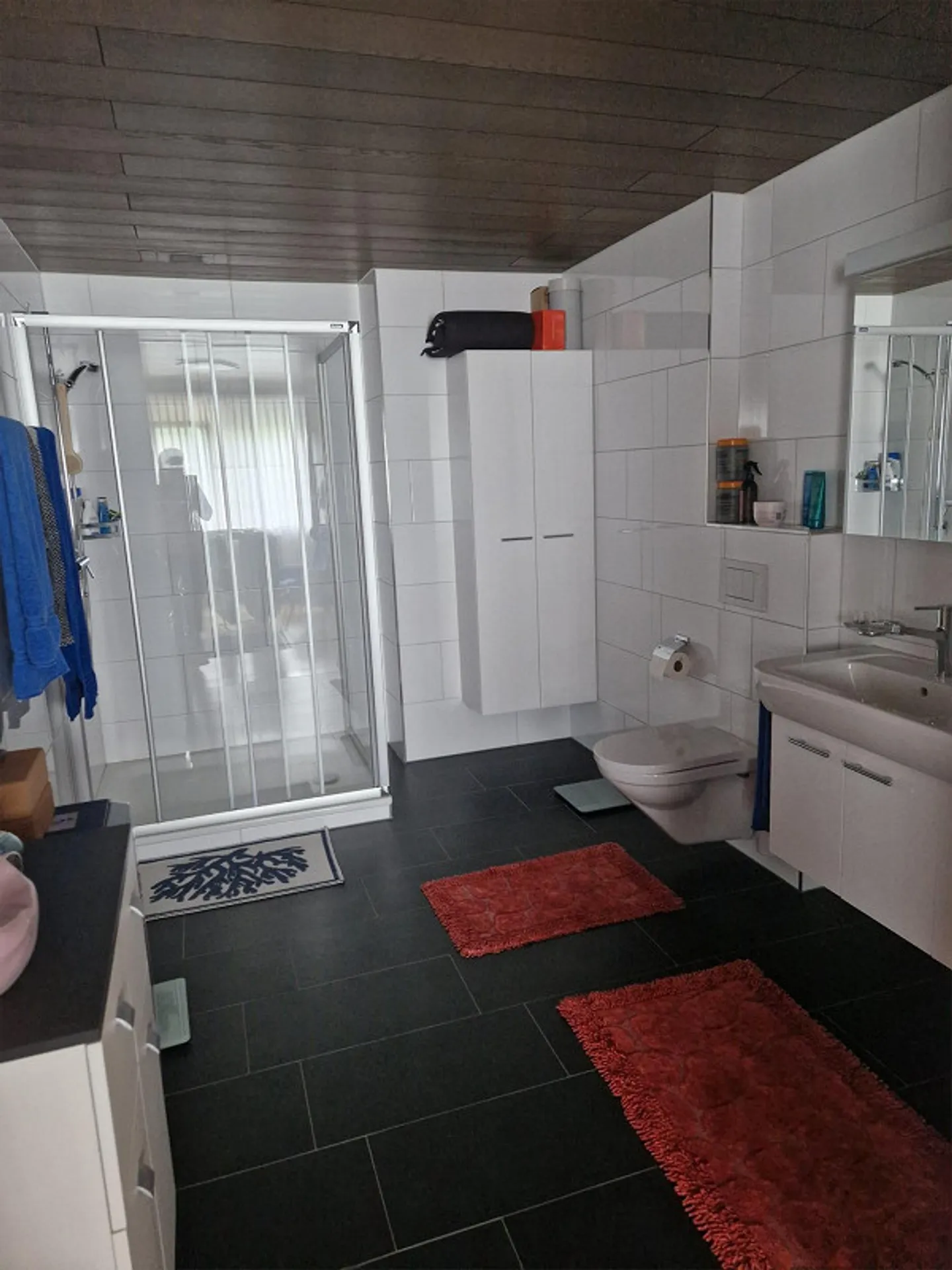 Geräumige Attika Wohnung in Landquart - Foto 6 von 11