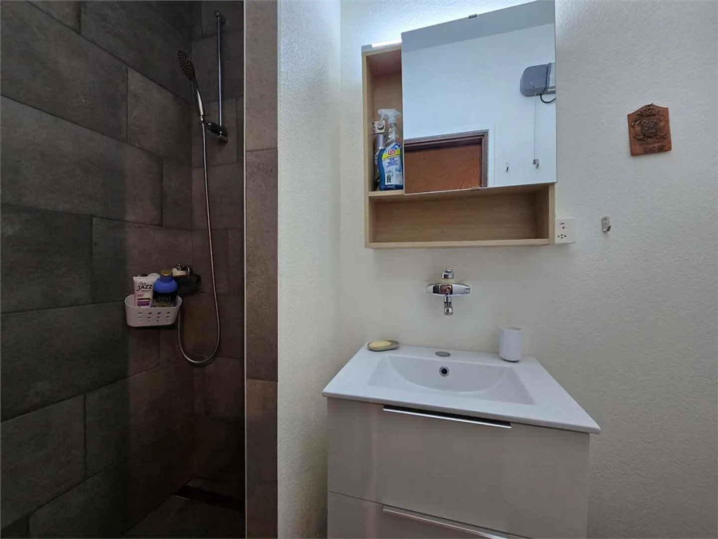 Casa Ticinese 2.5 Stanze, Ideale come Casa Vacanze o Airbnb - Foto 13 di 13
