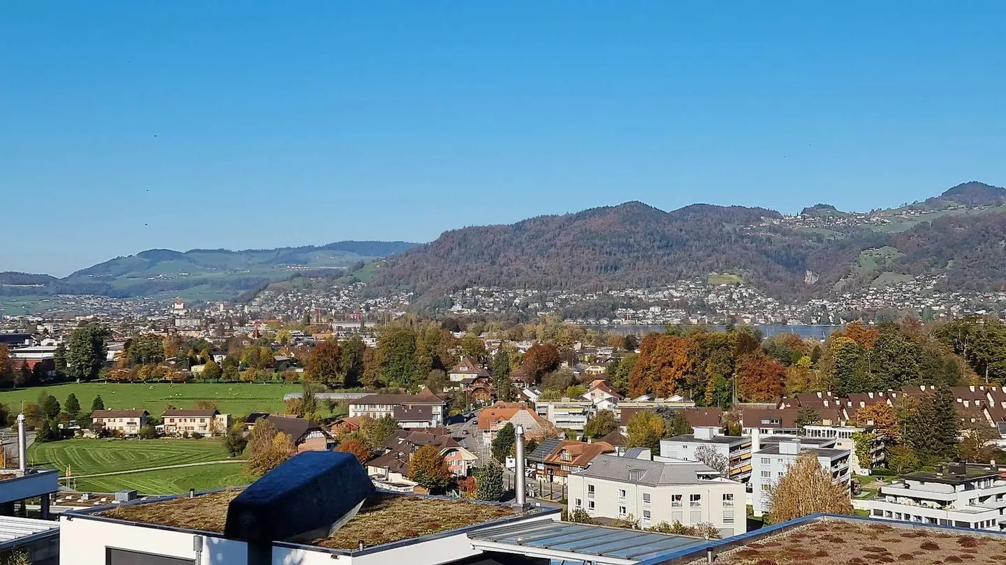 Realizza qui il tuo sogno abitativo a Gwatt con la migliore vista sul lago - Foto 10 di 12