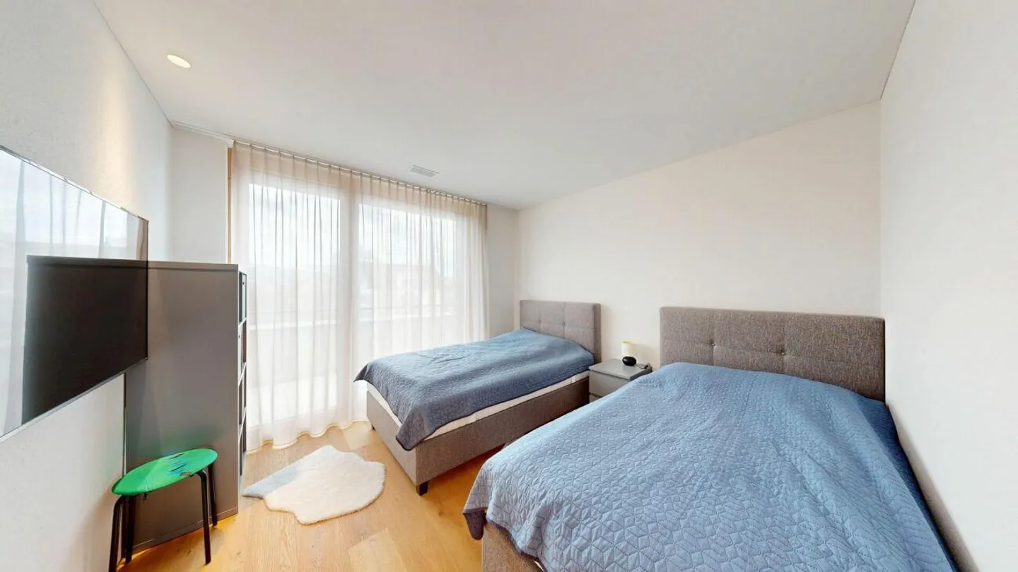 4.5 Room Apartment, Mitteldorfstrasse 5, Diepoldsau - Photo 11 of 14