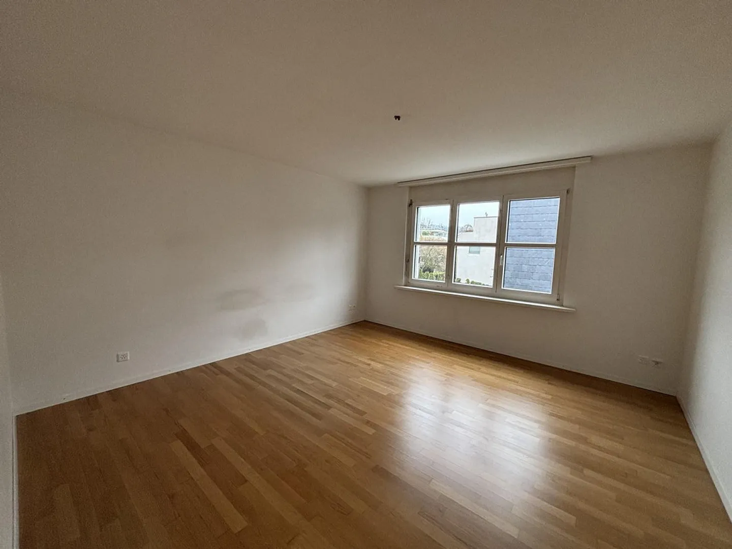 Stai cercando l'esclusivo? - Foto 11 di 13