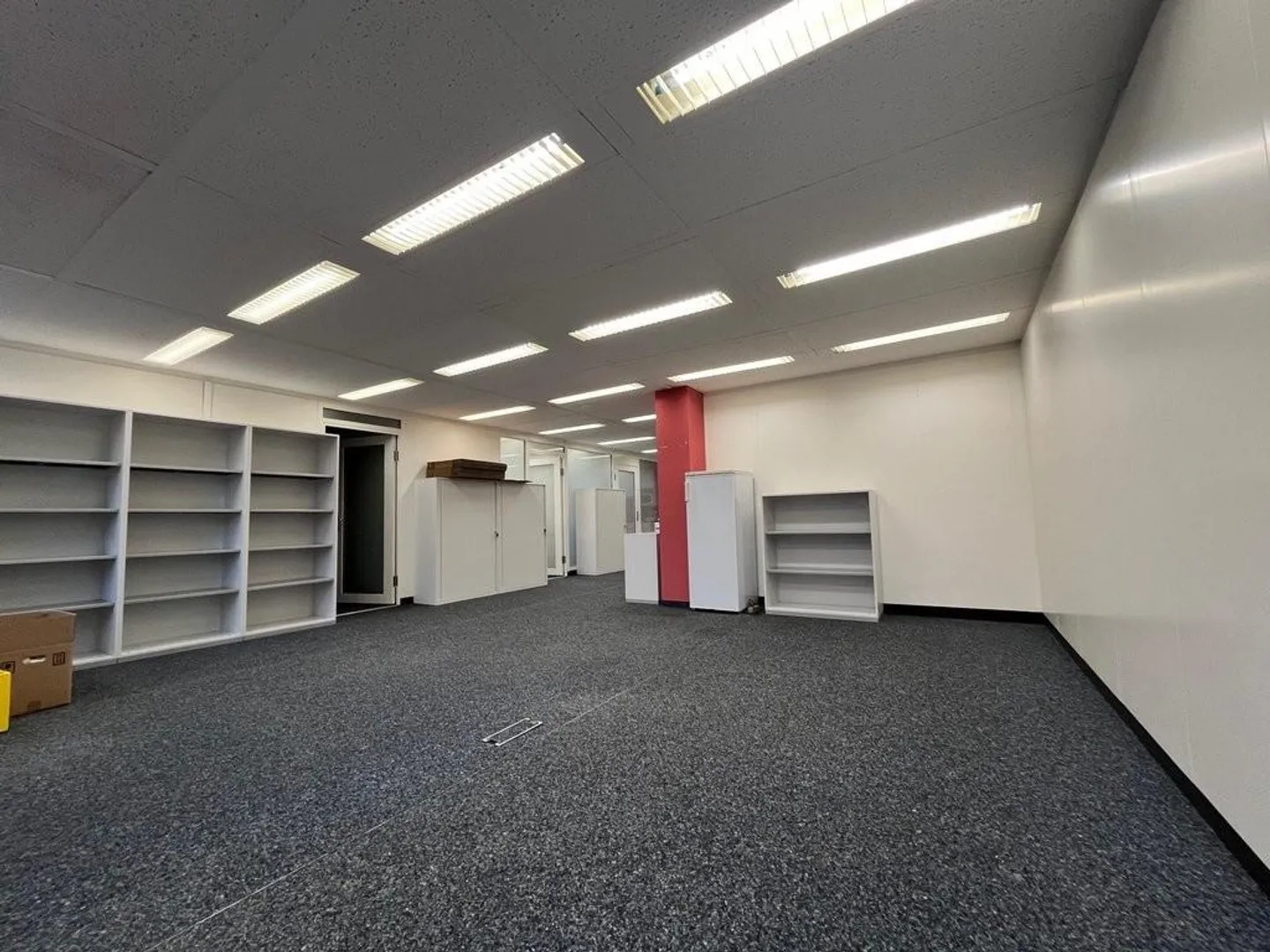 Magnifico ufficio commerciale a due passi dal lago di Ginevra! - Foto 5 di 6