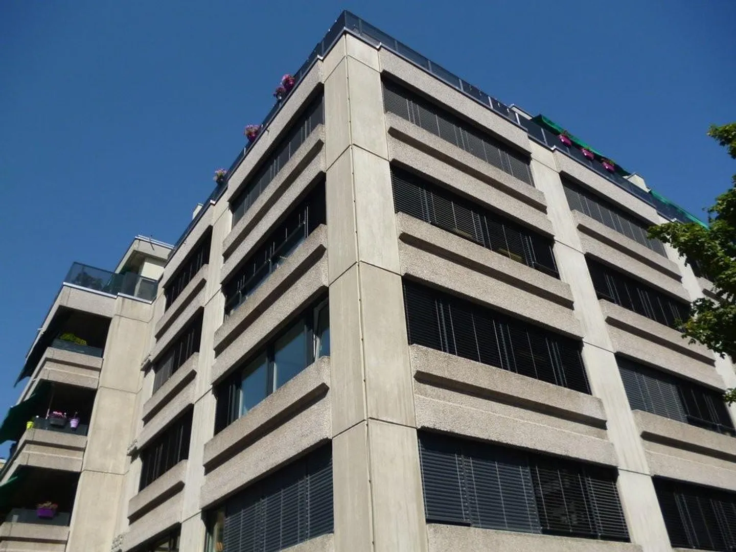 Magnifico ufficio commerciale a due passi dal lago di Ginevra! - Foto 6 di 6