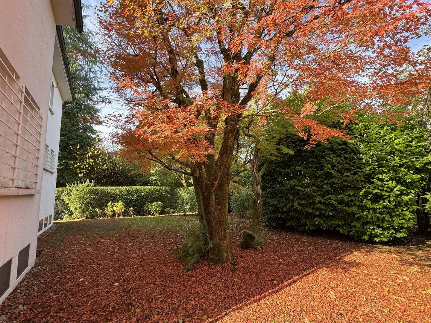 Neu renoviertes 7½ - Zimmer Einfamilienhaus mit  grossem Garten - Foto 5 von 19