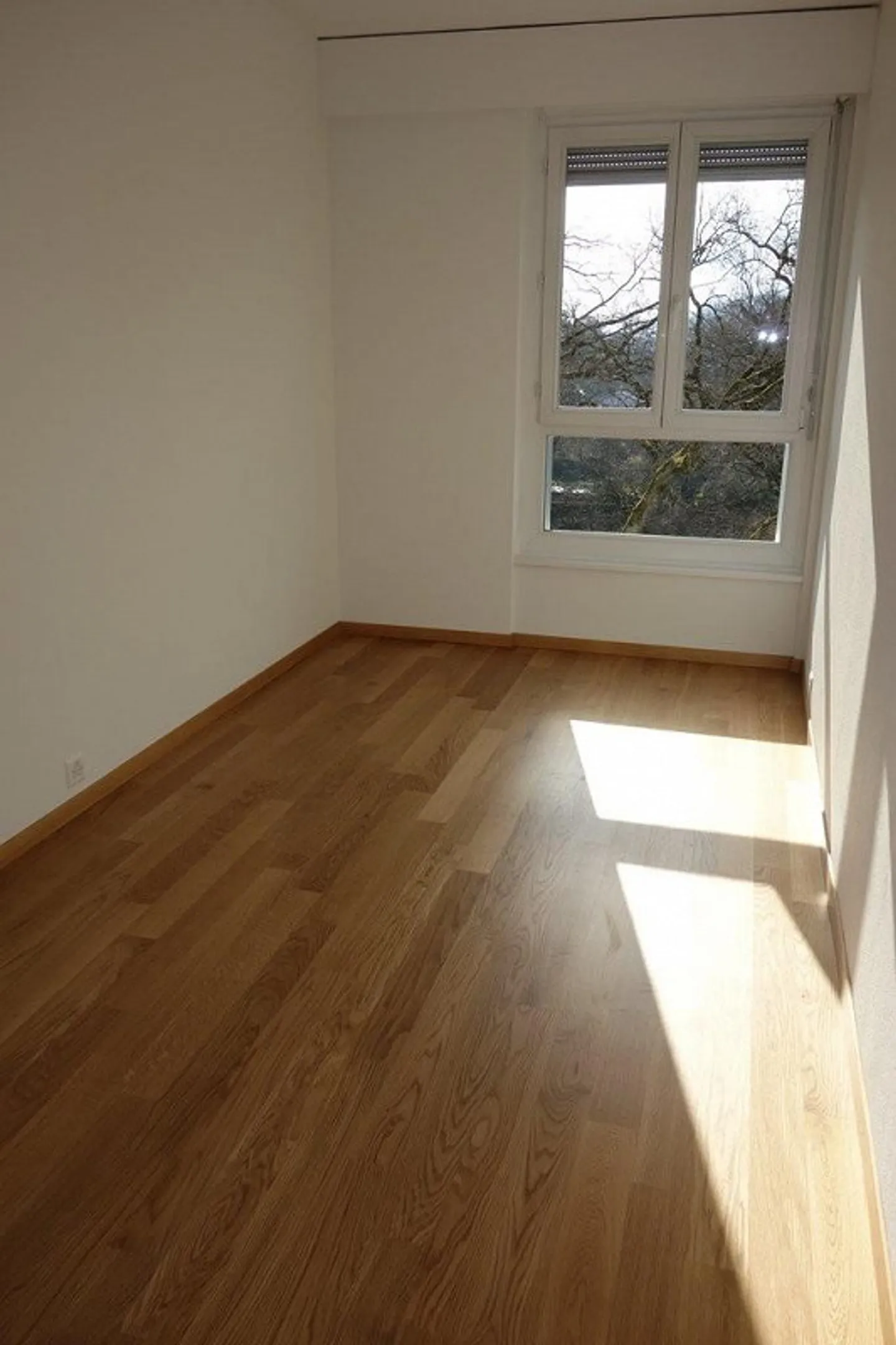 Charmante Wohnung in Chêne-Bougeries - Foto 7 von 9