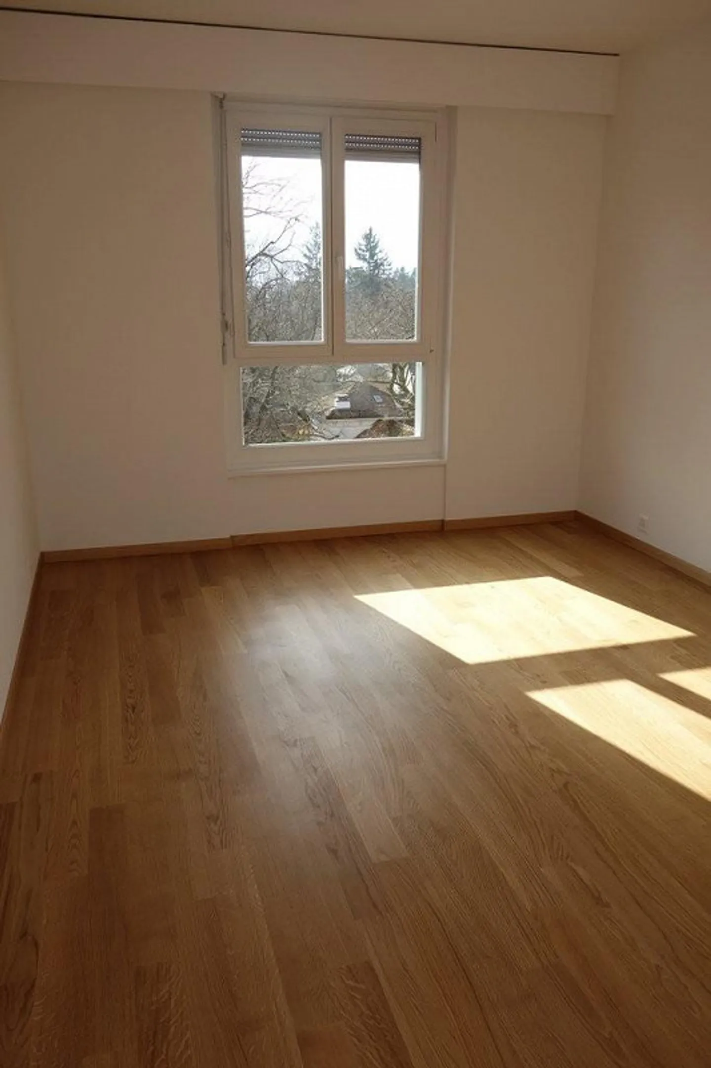 Charmante Wohnung in Chêne-Bougeries - Foto 8 von 9