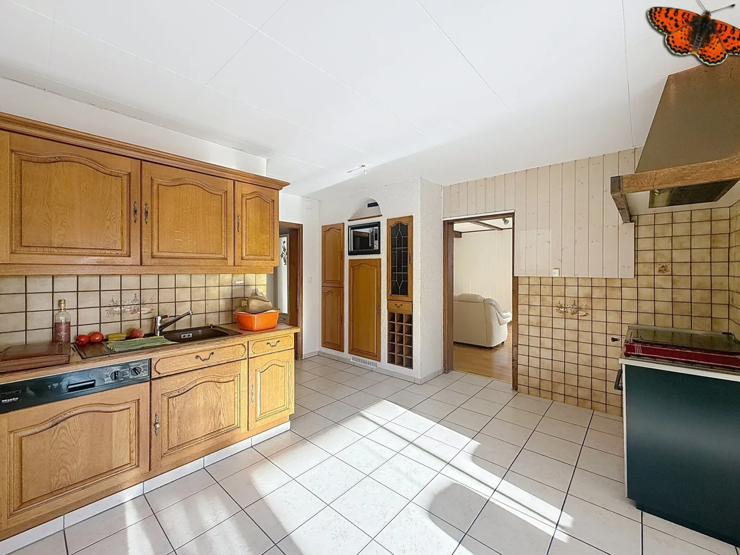 Casa singola in affitto - Foto 4 di 10