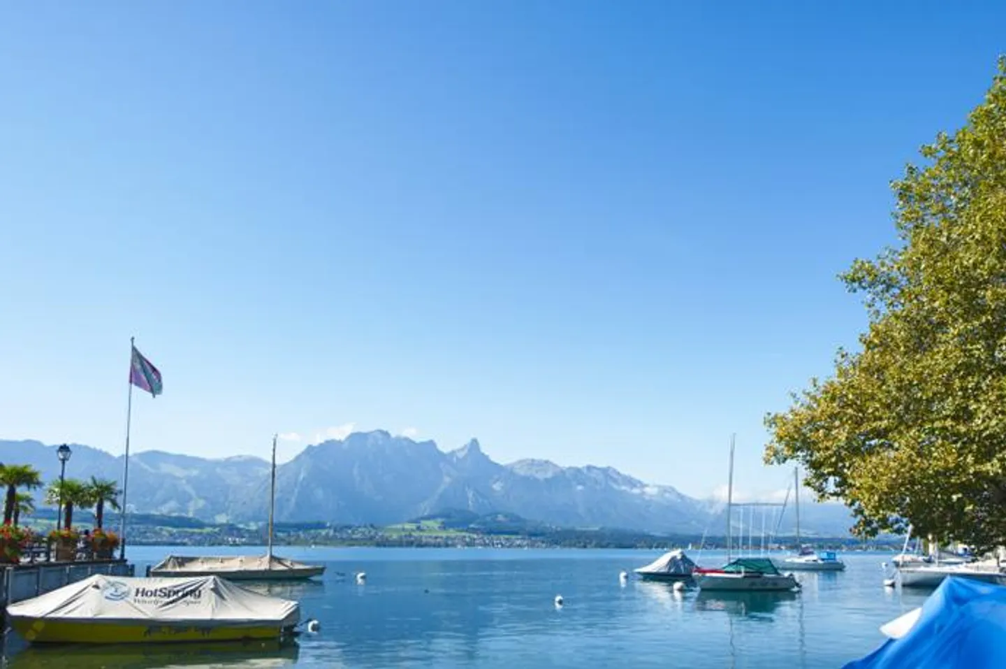 Vielseitige Gewerbefläche - Foto 3 von 14