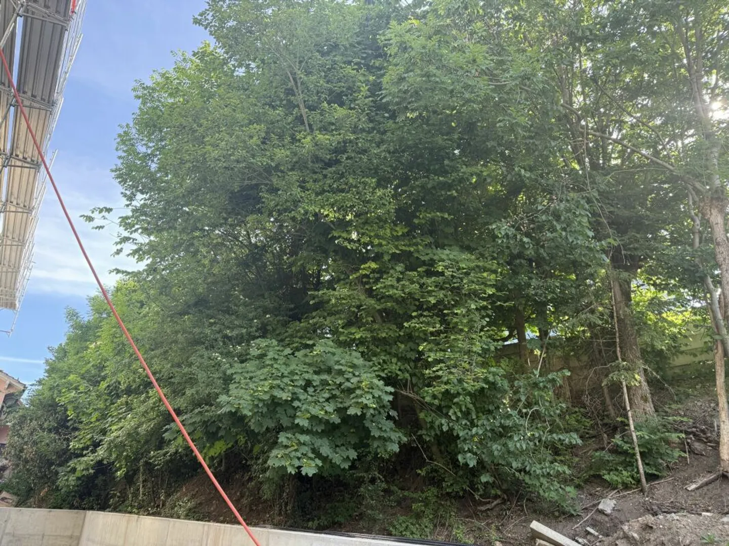 Wohnung mit Bergblick - Foto 12 von 14