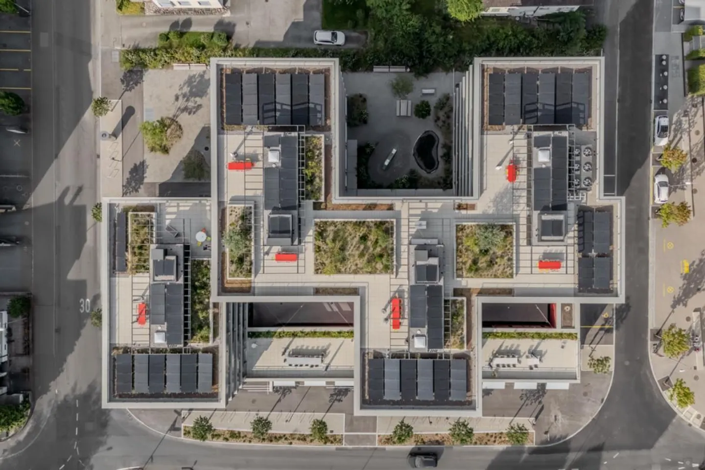 Der Sonne zugewandt leben - Photo 6 of 6