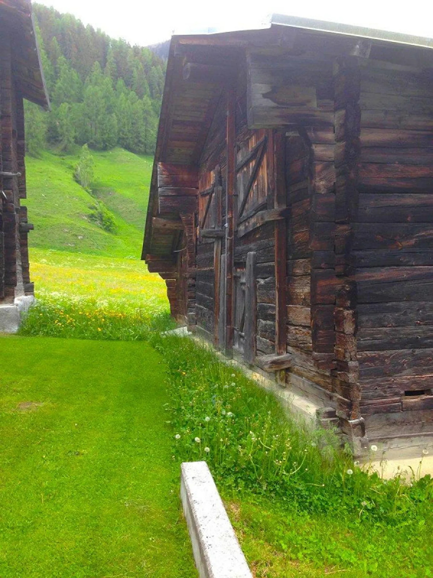 Stable for conversion in idyllic location in Goms - Photo 3 of 11