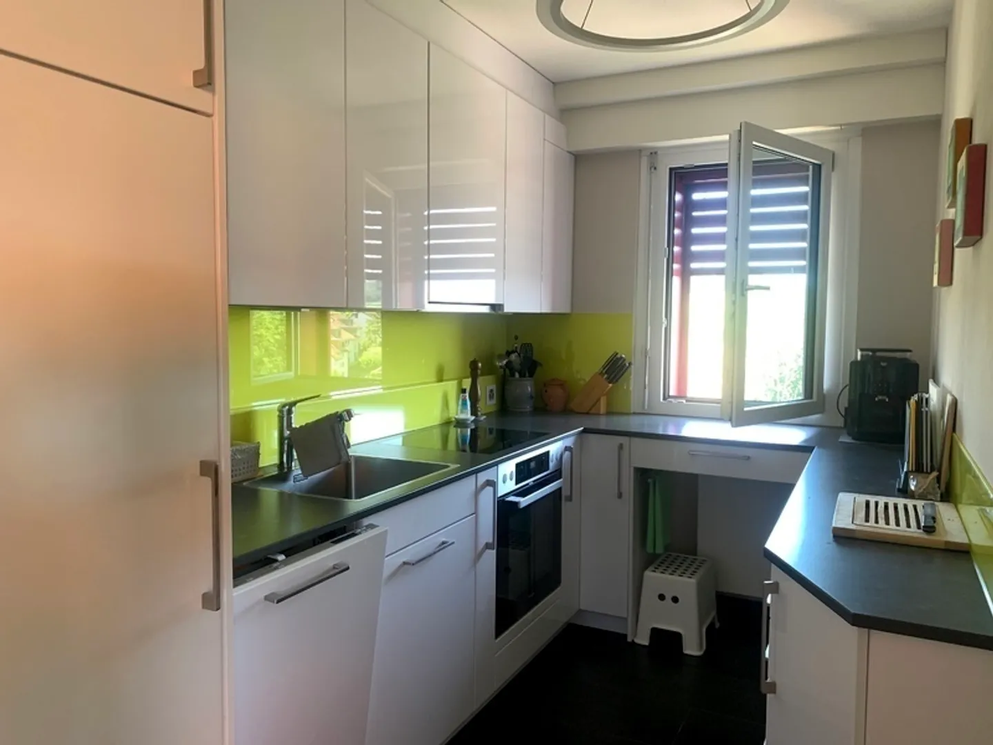 APPARTAMENTO ATTICO DI 3½ LOCALI AD ADLIKON B. REGENSDORF (ZH), ARREDATO, TEMPO - Foto 3 di 10