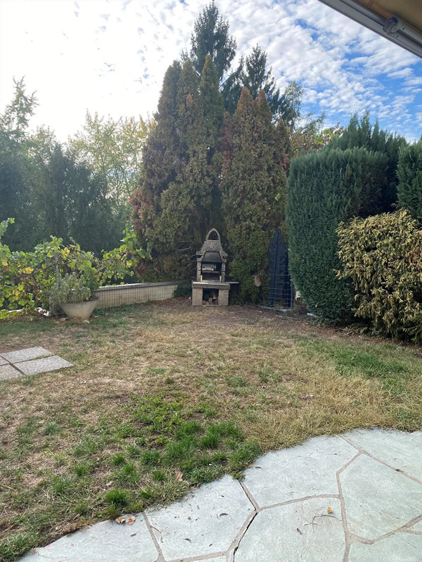 Appartamento soleggiato con giardino privato a Höngg - Foto 2 di 9