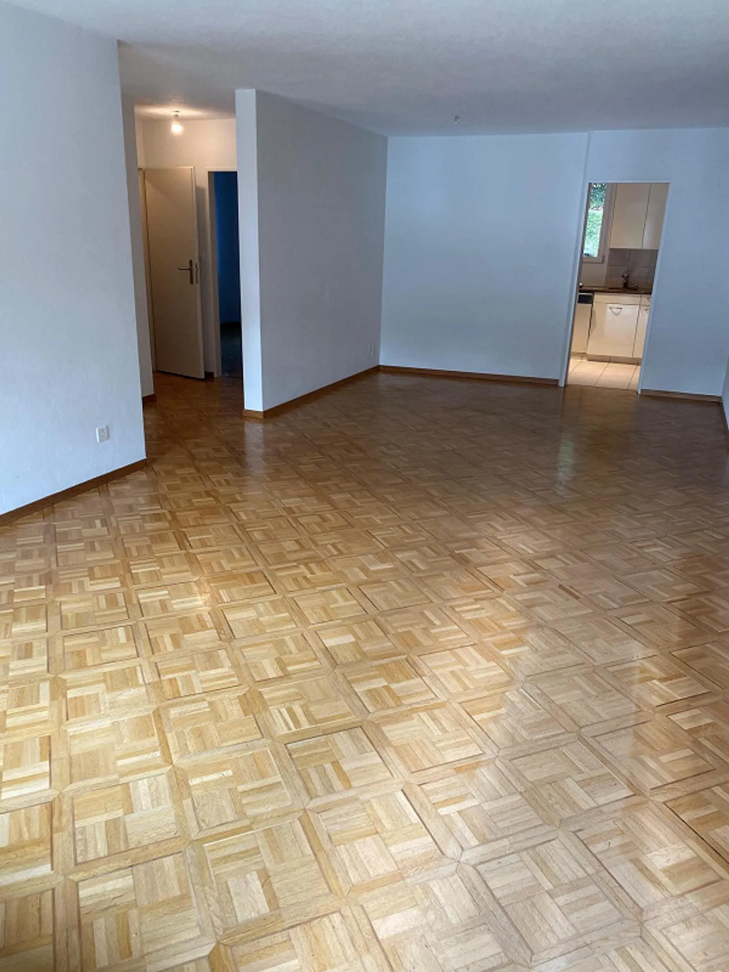 Appartamento soleggiato con giardino privato a Höngg - Foto 4 di 9