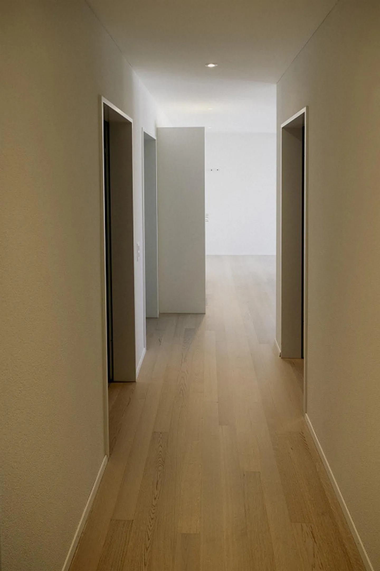 Ampio e luminoso appartamento con terrazza di 3,5 stanze - Foto 11 di 15