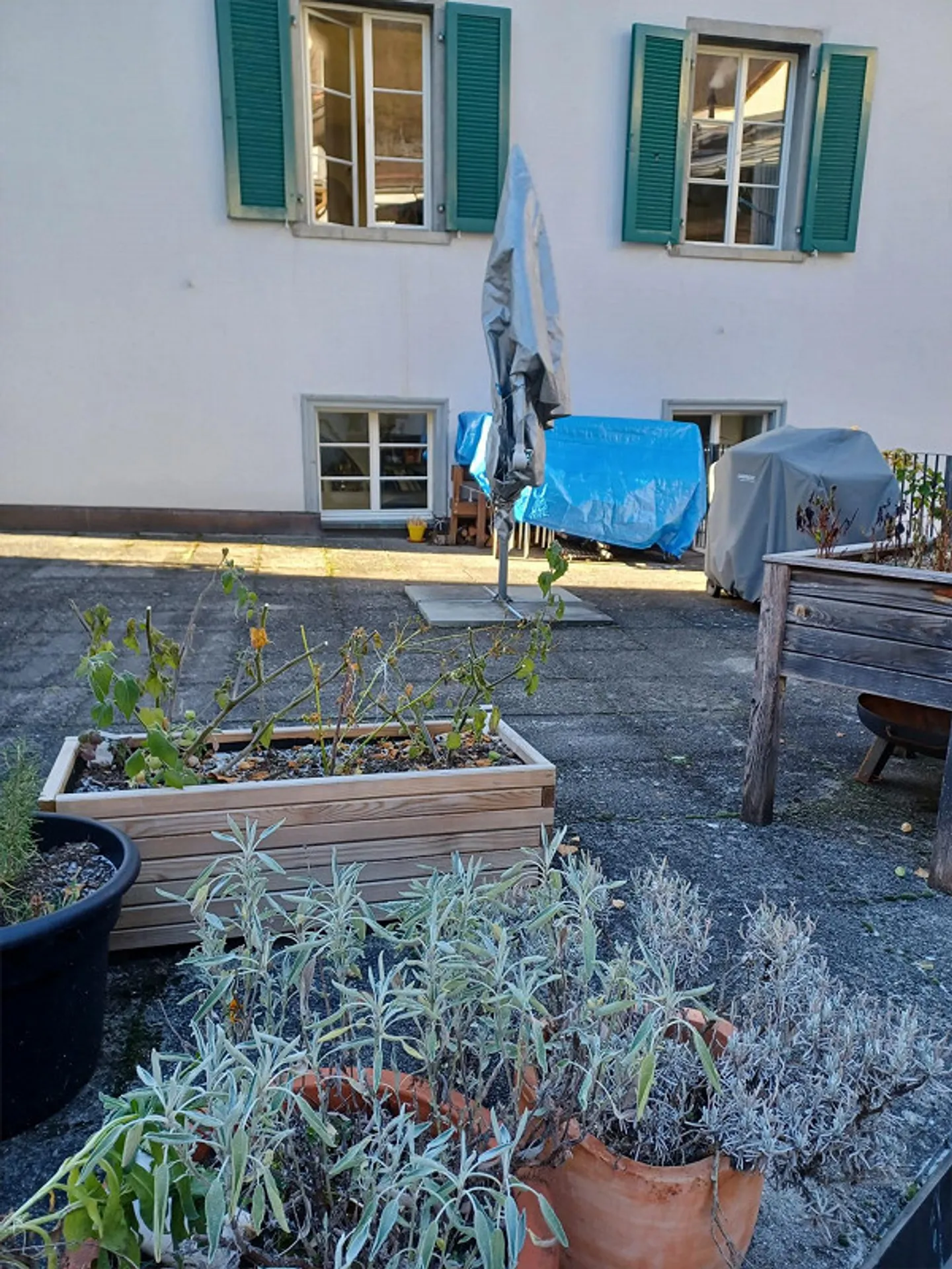 Looking for a new tenant - Photo 9 of 11