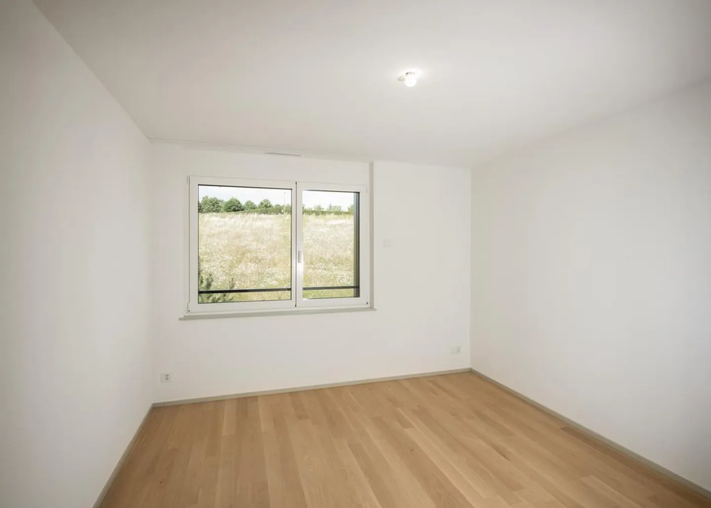 Visita di gruppo martedì 20 febbraio 2026 dalle 17:30 alle 18:30 - Foto 2 di 9