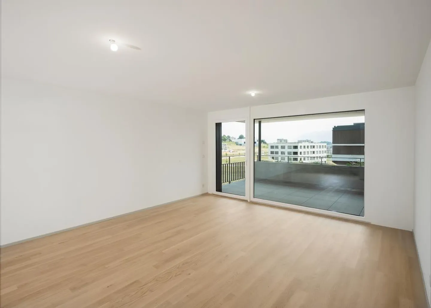 Visita di gruppo martedì 20 febbraio 2026 dalle 17:30 alle 18:30 - Foto 3 di 9