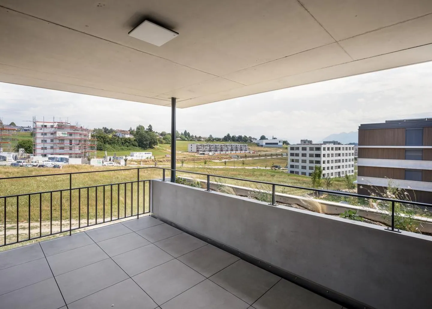 Visita di gruppo martedì 20 febbraio 2026 dalle 17:30 alle 18:30 - Foto 6 di 9