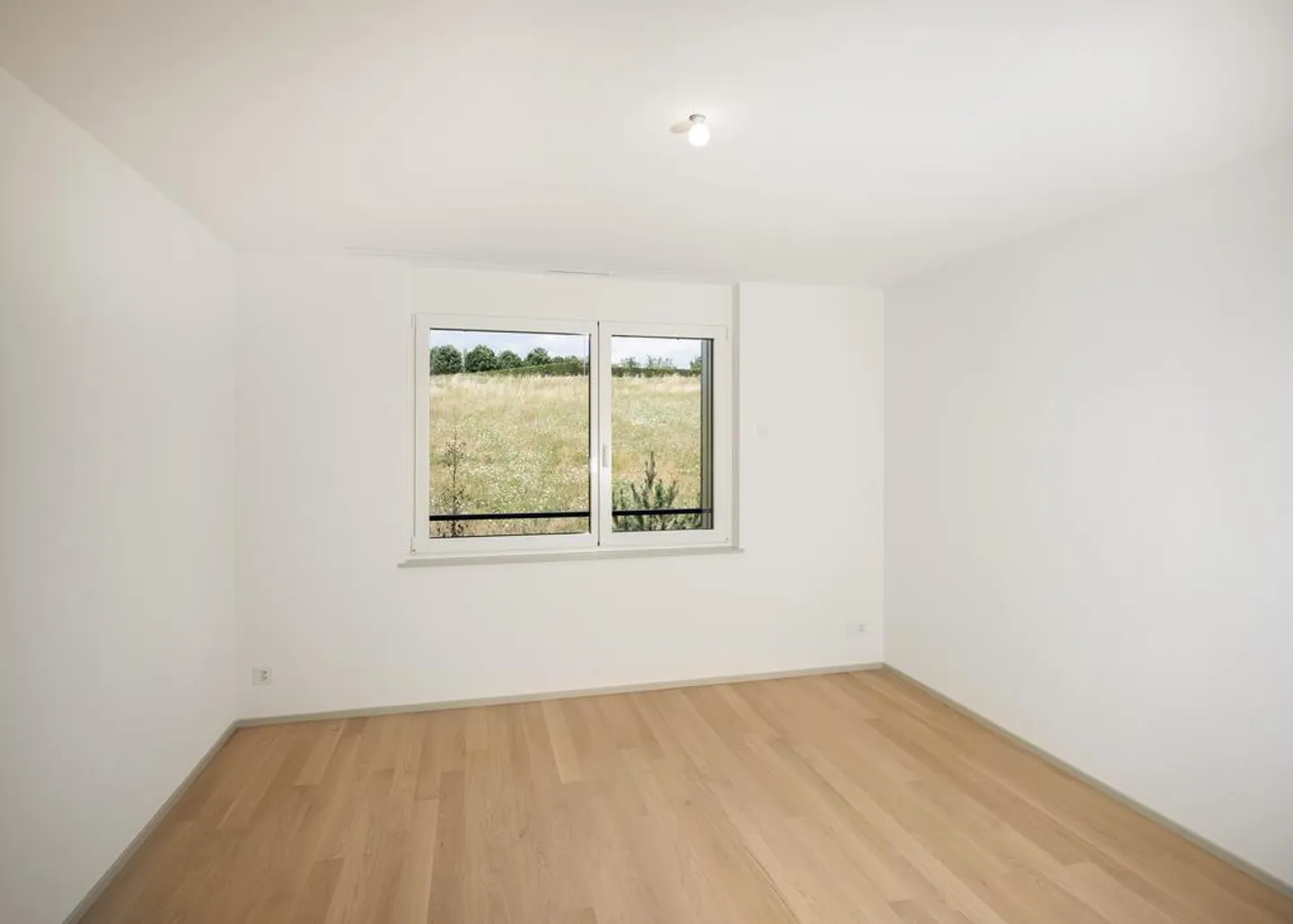 Visita di gruppo martedì 20 febbraio 2026 dalle 17:30 alle 18:30 - Foto 9 di 9