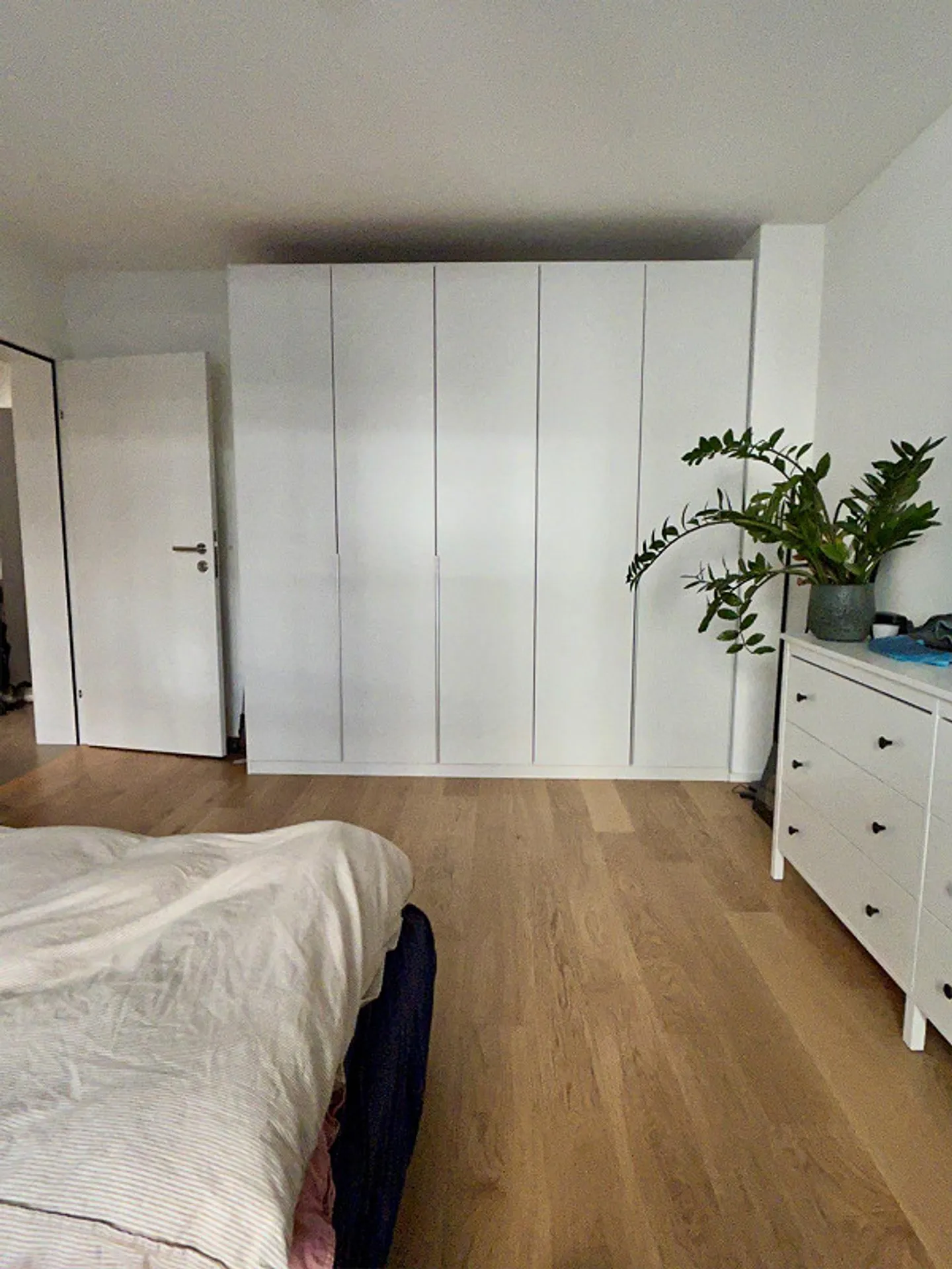 Modern, central apartment near Wiedikon train station (6 months from Feb 2026) - Photo 6 of 14