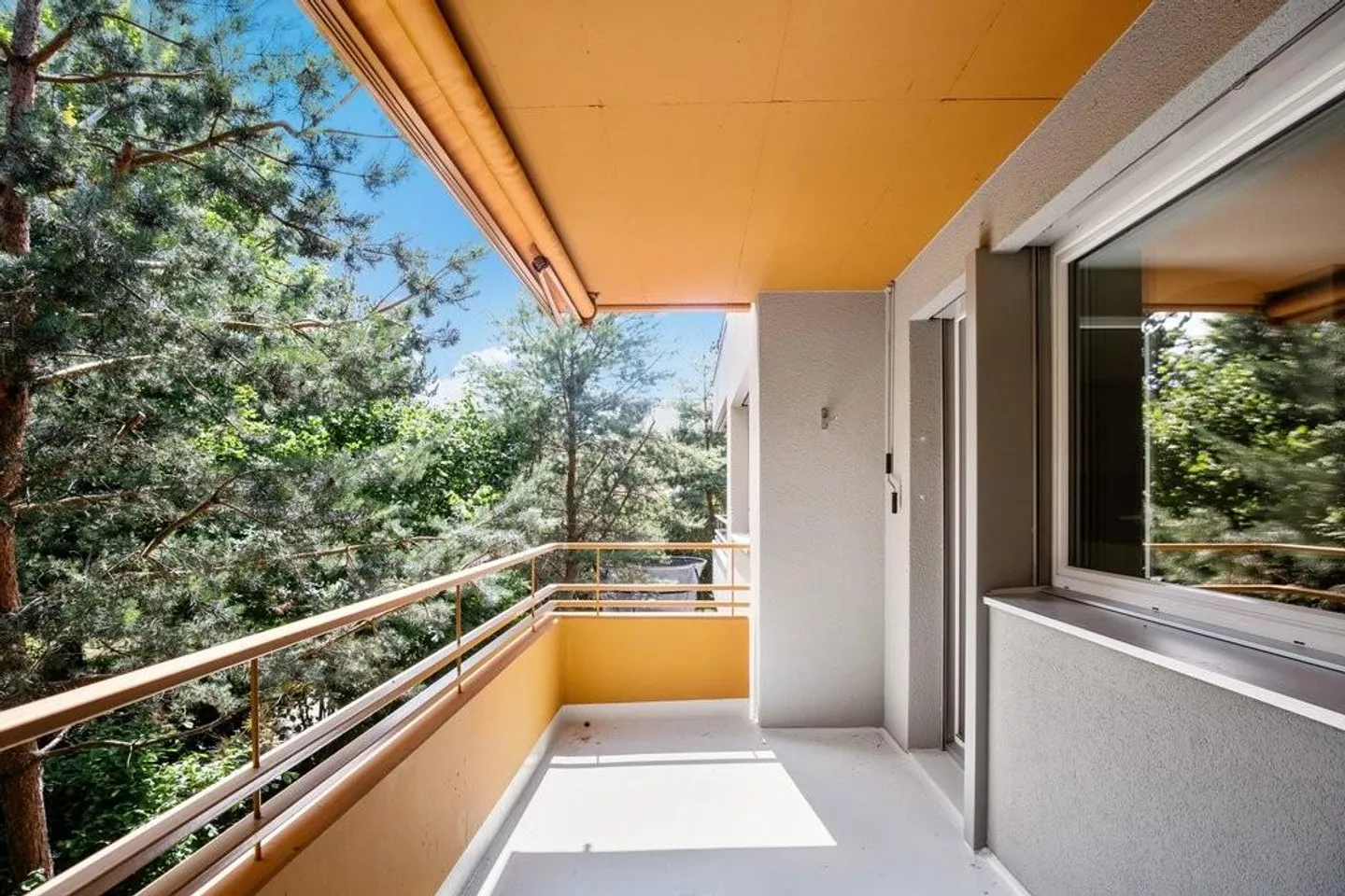 Hire without deposit - living in green surroundings - Photo 10 of 11