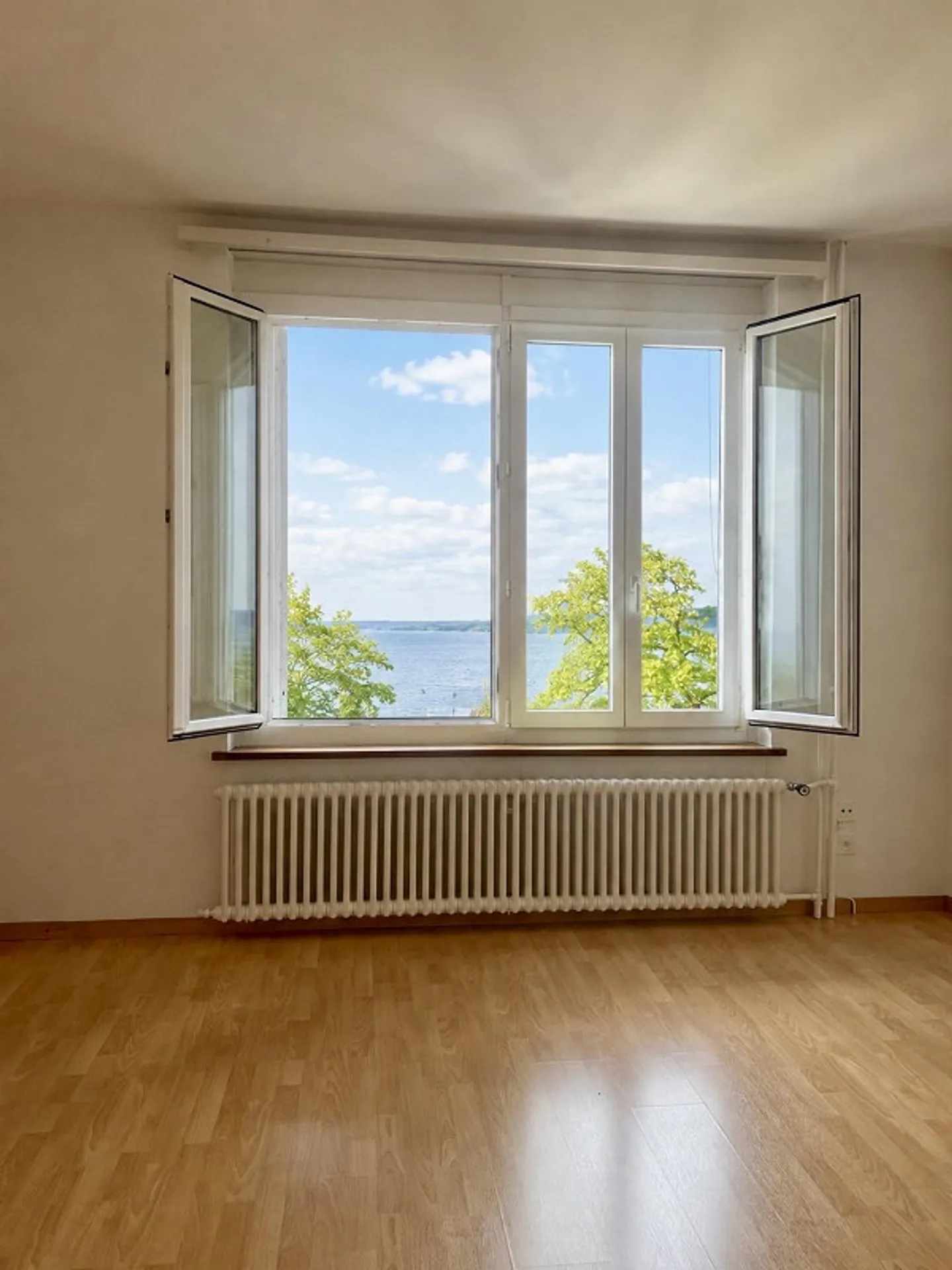 Charmante appartement de 5 pièces avec une vue magnifique sur le lac de Constance - Photo 4 sur 13