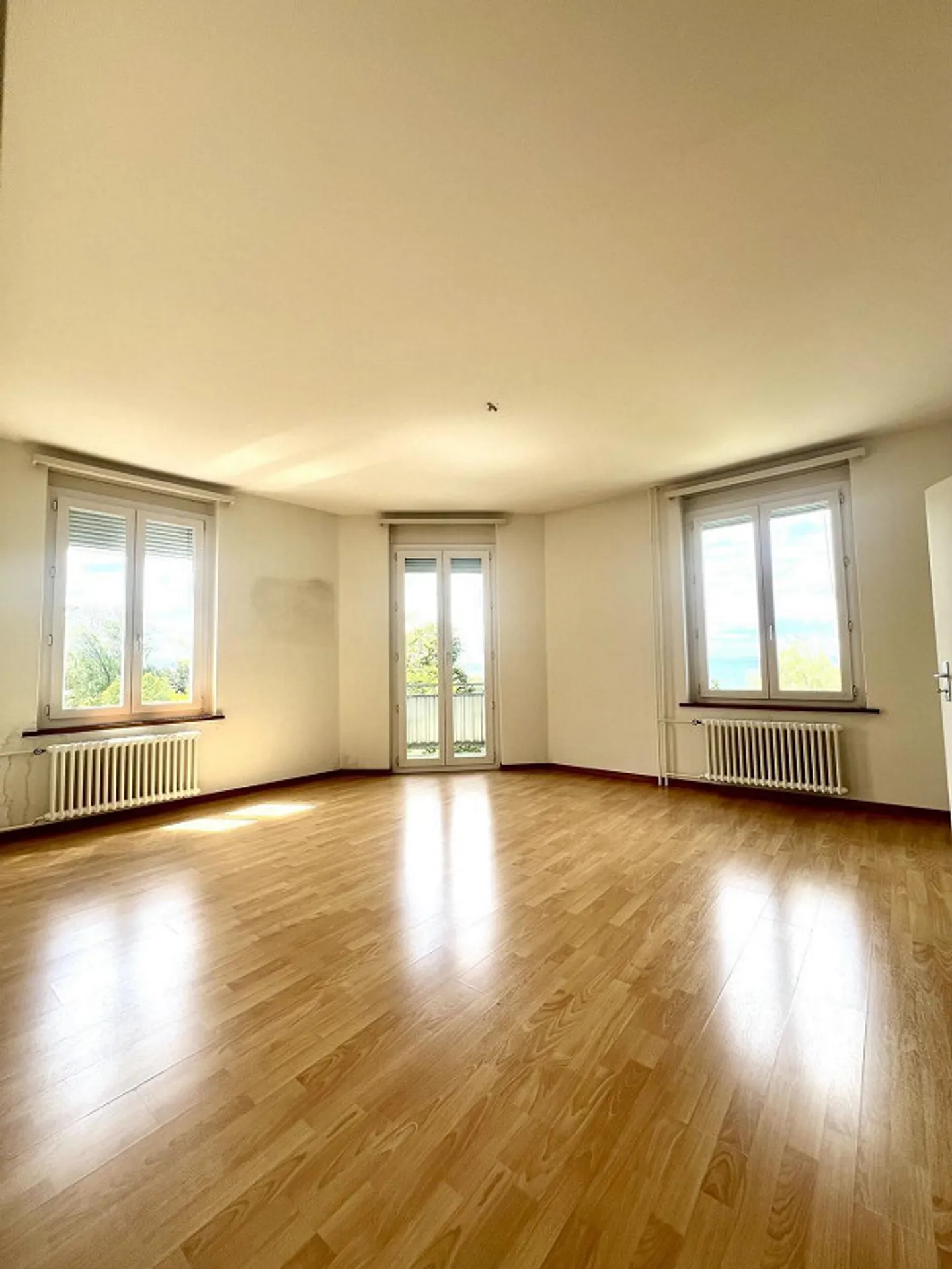 Charmante appartement de 5 pièces avec une vue magnifique sur le lac de Constance - Photo 1 sur 13