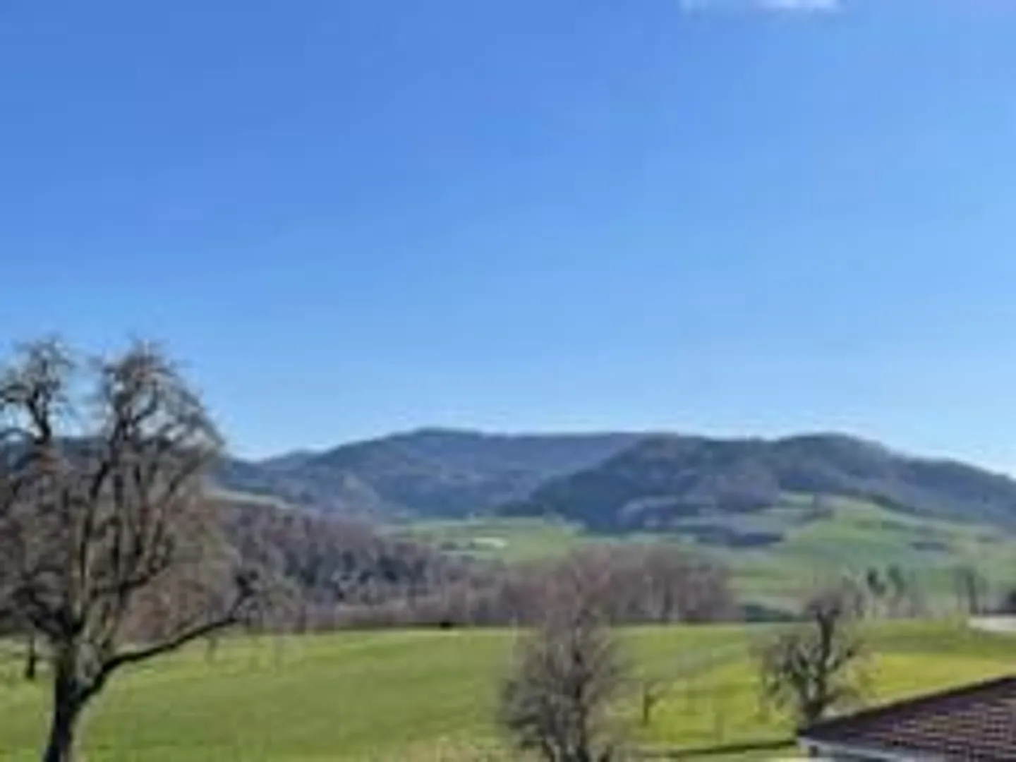 Beautifully located residential and economic building in Lampenberg (BL) - Photo 4 of 17