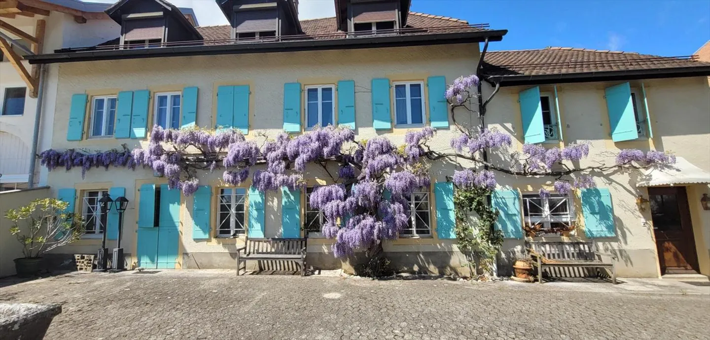 Bella Casa di Villaggio con Giardino - Foto 2 di 13