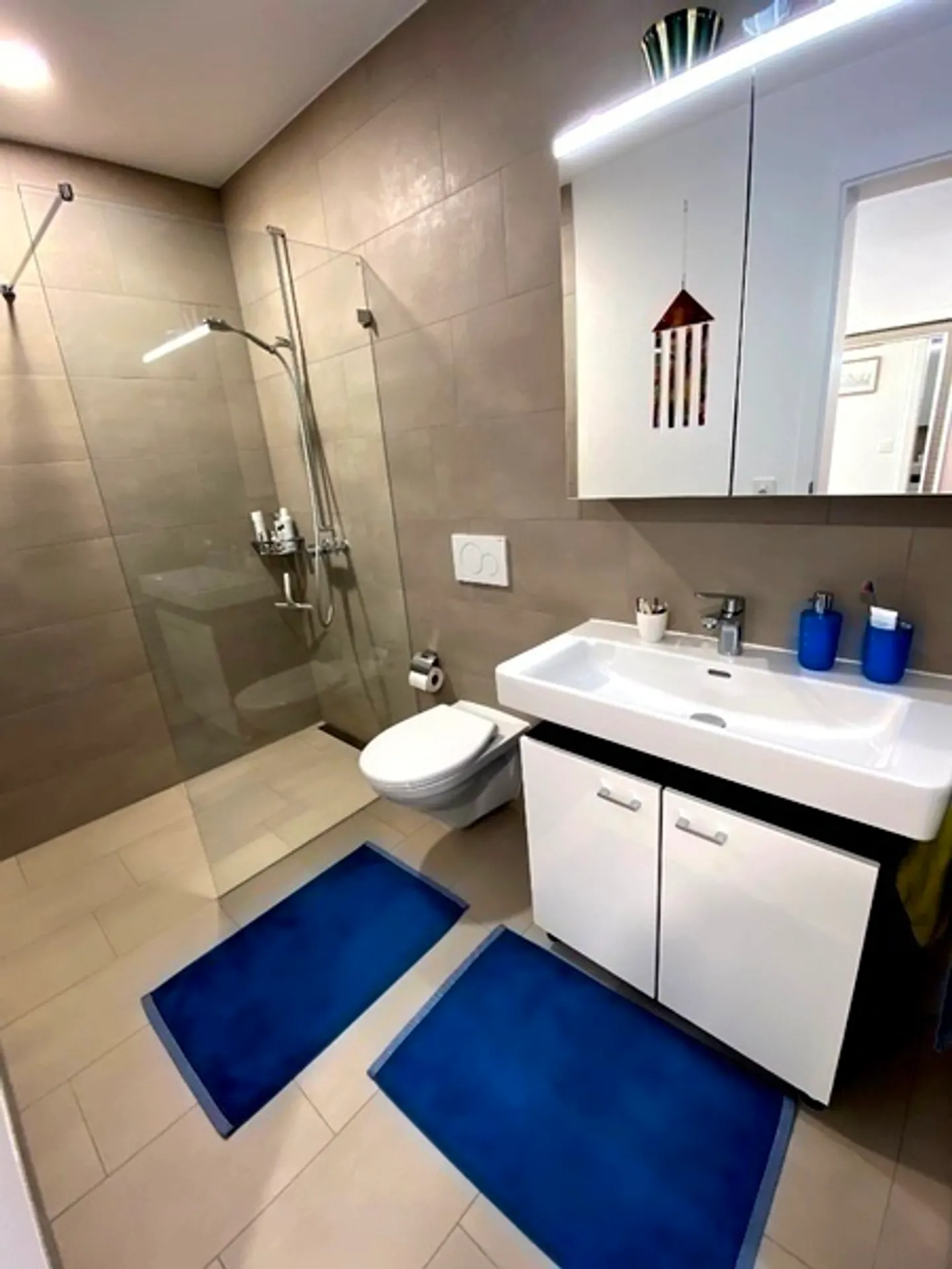 2½ ROOM APARTMENT IN BASEL - ISELIN, FURNISHED, TEMPORARY - Photo 6 of 10