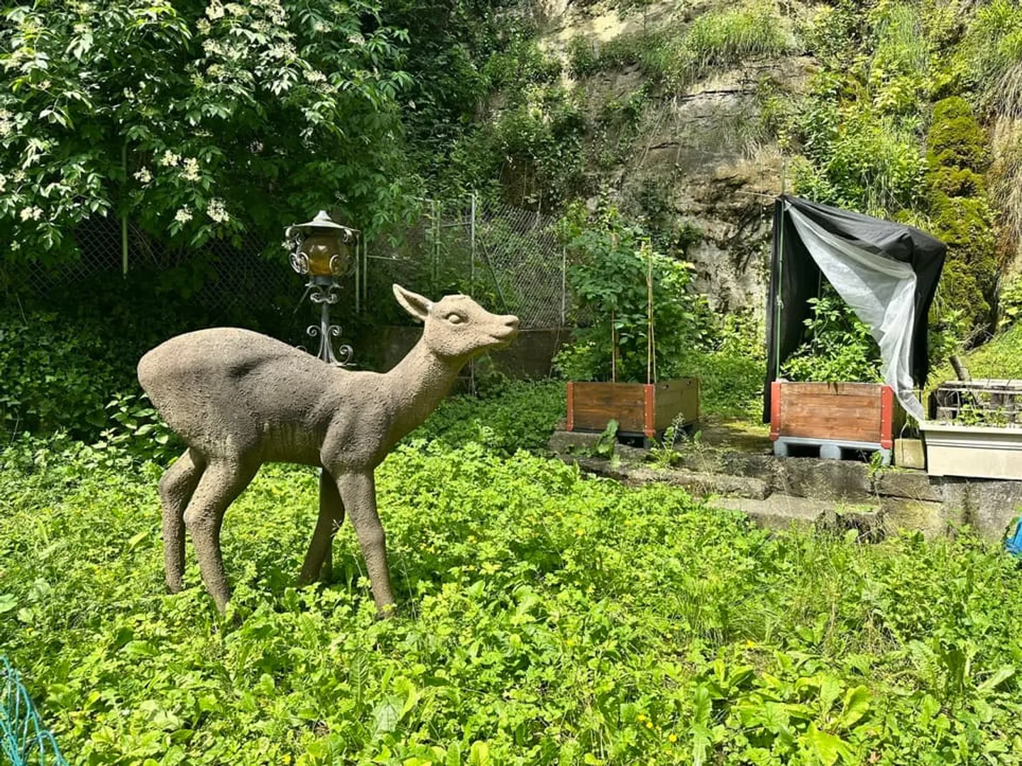 Proprietà commerciale nella città bassa di Friburgo - in vendita CHF 95'000.- - Foto 2 di 5