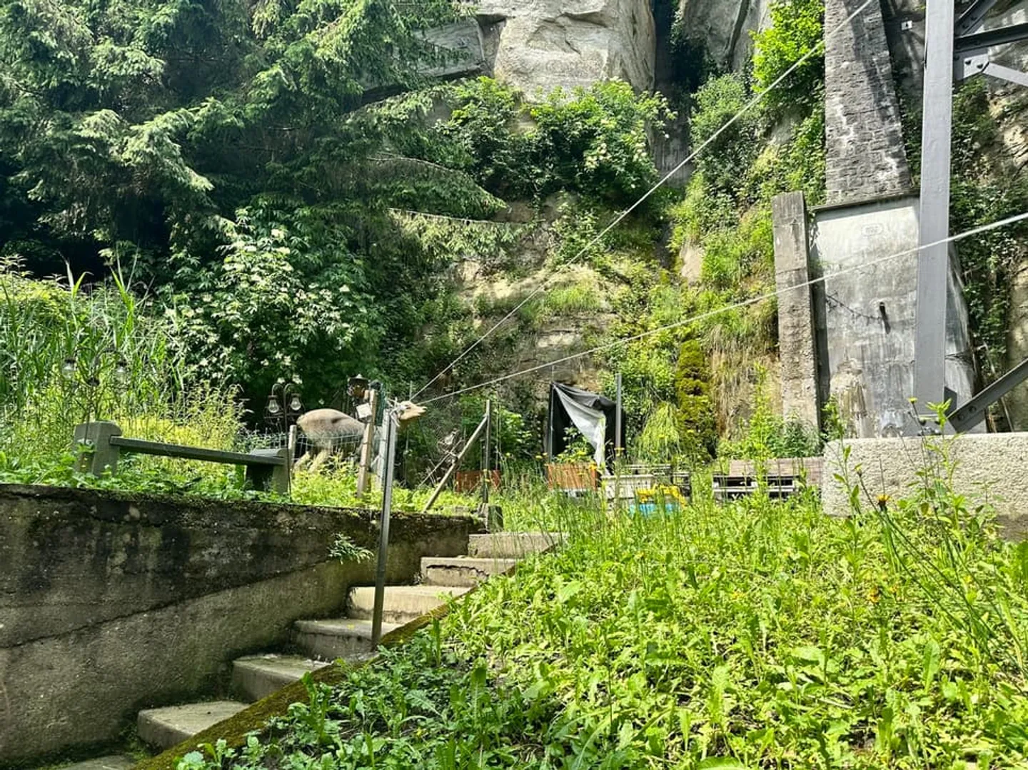 Proprietà commerciale nella città bassa di Friburgo - in vendita CHF 95'000.- - Foto 3 di 5