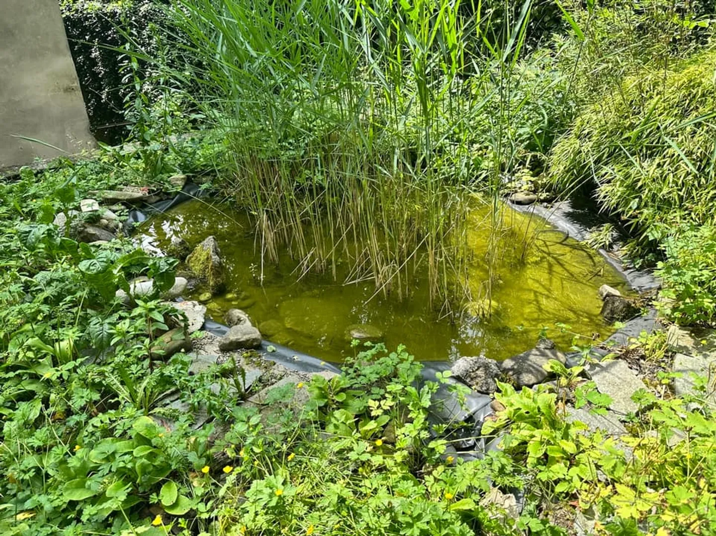 Proprietà commerciale nella città bassa di Friburgo - in vendita CHF 95'000.- - Foto 4 di 5